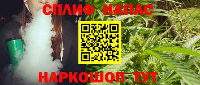 гидра Моздок
