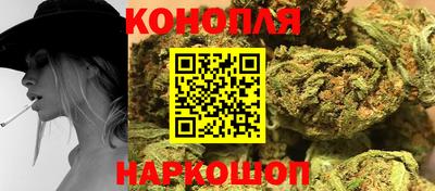 прущие грибы Можга