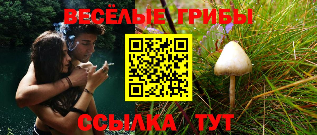 Галлюциногенные грибы мухоморы  Вход с VPN  Анапа 