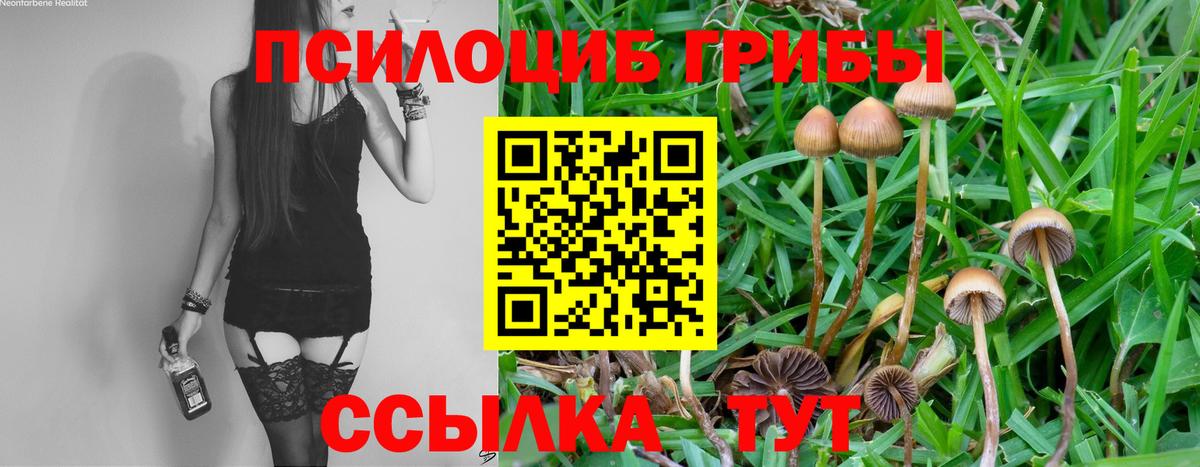 Псилоцибиновые грибы прущие грибы Анапа
